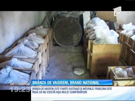 Telemeaua de Vaideeni, pe cale să ajungă brand naţional