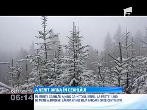 A venit iarna în munţii Ceahlău. La peste 1.400 de metri altitudine, stratul de zăpadă ajunge la aproape 60 de centimetri