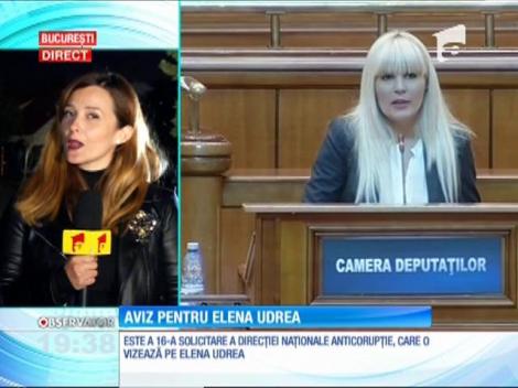 Parlamentul a încuviinţat începerea urmăririi penale pentru Elena Udrea