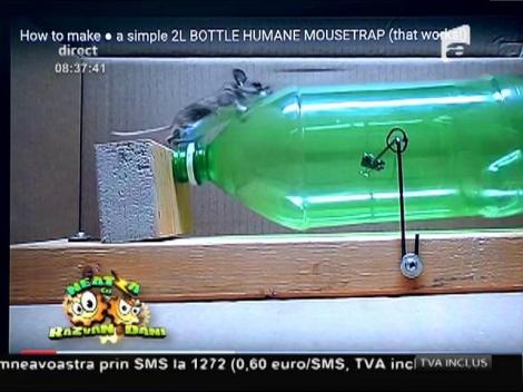 Smiley News: Cea mai ingenioasă capcană de şoareci
