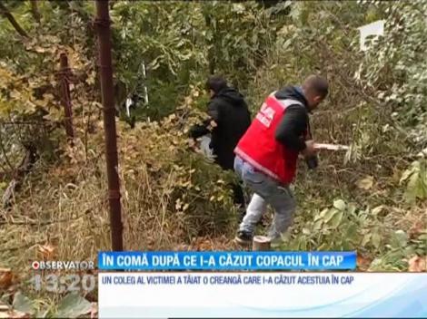 Braşov: Un barbat a intrat în comă după ce ramura unui copac i-a căzut în cap