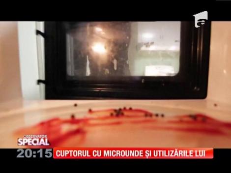 SPECIAL! Cuptorul cu microunde şi utilizările lui