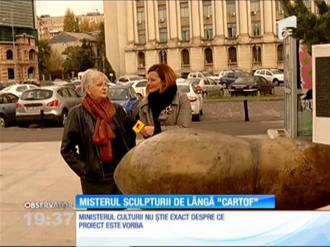 Un "cartof" expus în Piaţa Revoluţiei din Bucureşti face senzaţie pe Internet