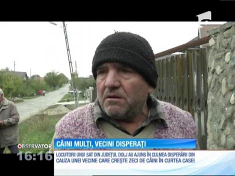 O femeie dintr-o comună doljeană şi-a terorizat vecinii cu zecile de câini pe care îi creşte