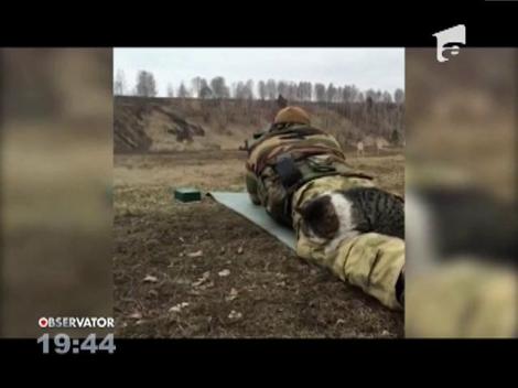 Ce face o pisică pe câmpul de luptă? Imaginile cu felina vitează fac senzaţie pe internet