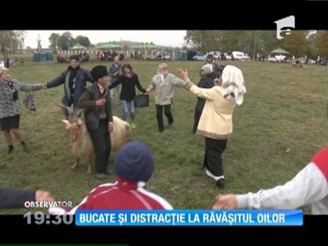 Festival Răvăşitul oilor