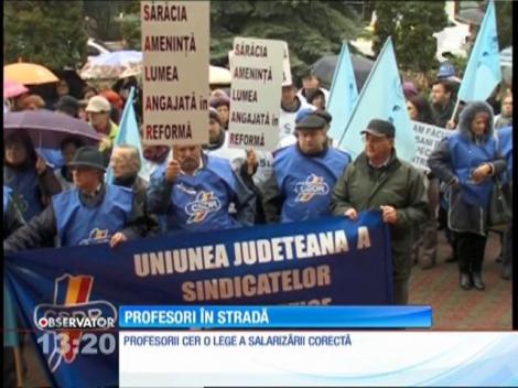 Sute de profesori din Neamţ au ieşit în stradă