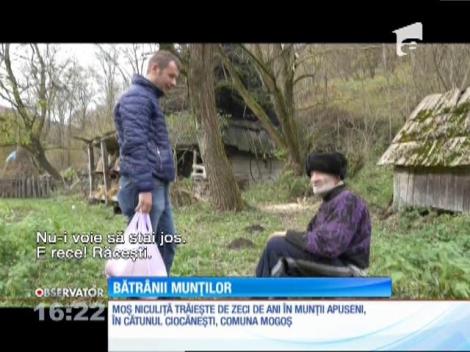 Moș Niculiță trăiește de zeci de ani în munții Apuseni, în cătunul Ciocănești, comuna Mogoș