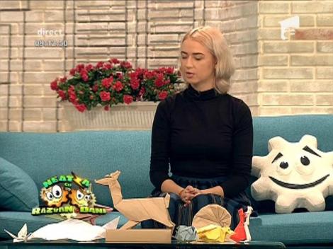 Cum să faci un origami în 5 minute