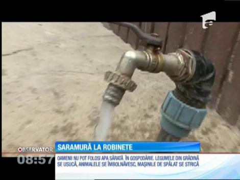 În comuna Corbu din Constanţa la robinet curge saramură!