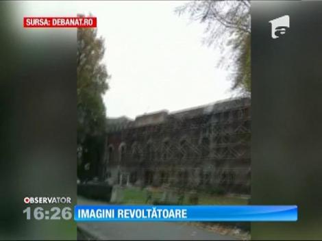 Muncitorii care lucrează la Castelul Huniade arunca resturi şi gunoaie cu găleata de la înălţime