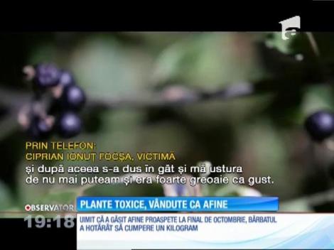 Un constănţean era să se intoxice cu afinele cumpărate din piaţă