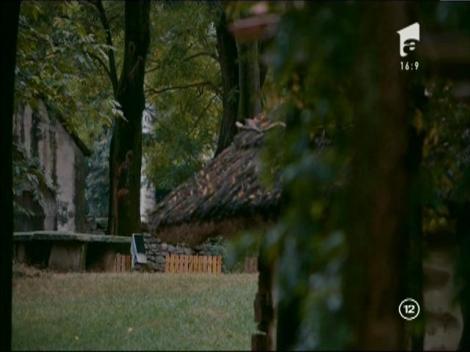 Gina: "Nu înțeleg de ce nu au dărămât aștia casele astea vechi din centrul Bucureștiului?"