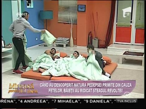 Băieţii de la "Mireasă pentru fiul meu" ridică steagul revoltei!