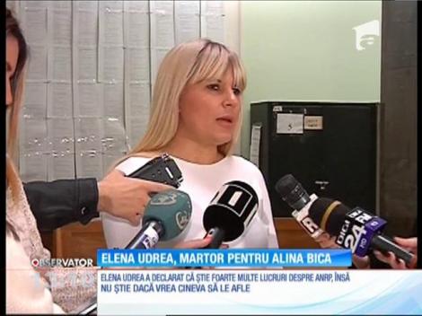 Elena Udrea, martor pentru Alina Bica