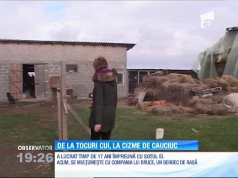 Claudia Burcea a renunțat la birou pentru viața la fermă