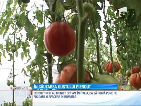 Familia Toma cultivă roșii într-o comună din Gorj. Este o mică afacere pornită dintr-un vis