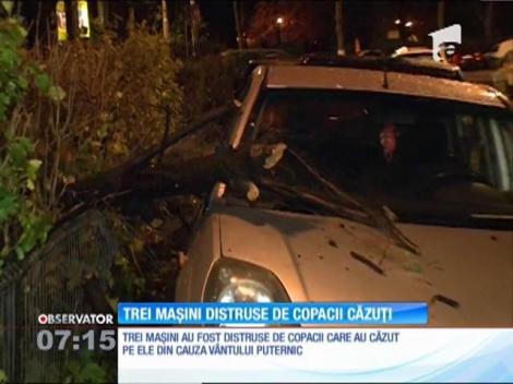 Trei mașini din Capitală au fost distruse de copacii căzuți