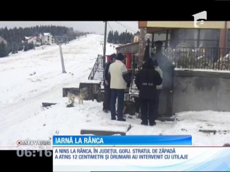 Stratul de zăpadă a atins 12 centimetri la Rânca, județul Gorj