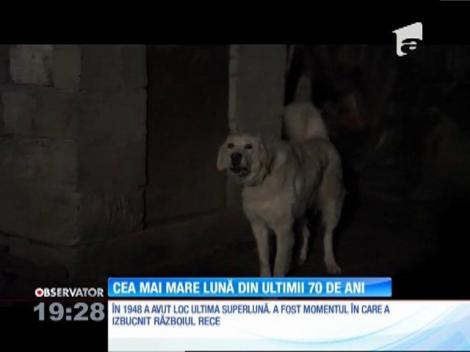 Atenție la cer. Cea mai mare lună din ultimii 70 de ani