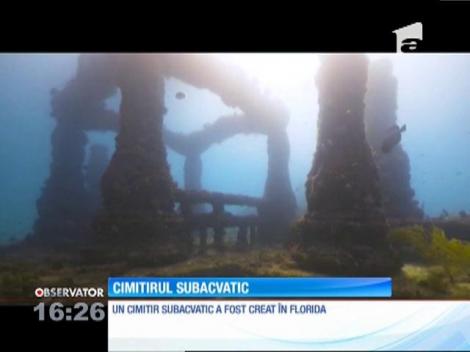A fost descoperită o lume sub ape! Ce văd cei care au curaj să se avânte în paradisul subacvatic? (VIDEO)