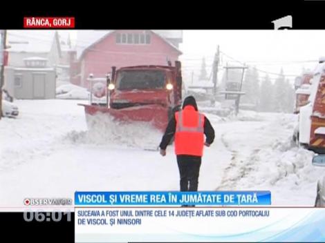 Vreme rea în jumătate de ţară. 14 judeţe au fost sub cod portocaliu de viscol