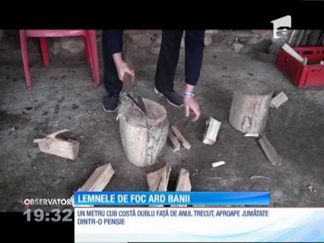 Milioane de români fac sacrificii uriaşe pentru a se încălzi iarna aceasta. Metrul cub de lemne costă cât o pensie întreagă. Tocmai lupta împotriva defrişărilor a ridicat tarfiele