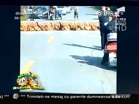 Smiley News: 20.000 de rățuște în trafic. Uite cum traversează strada