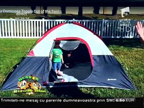 Smiley News: Copilași la cort