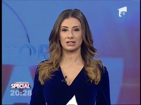 SPECIAL! Un trunchi de copac, jucăria preferată al elefanţilor