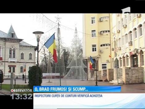 Primăria Târgu-Jiu a plătit 100.000 de euro pentru un brad de Crăciun!