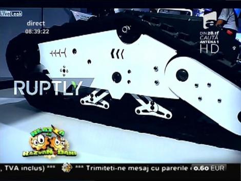 Smiley News: Tacul care prinde muşte şi tânţari!