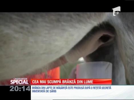 SPECIAL! Cea mai scumpă brânză din lume