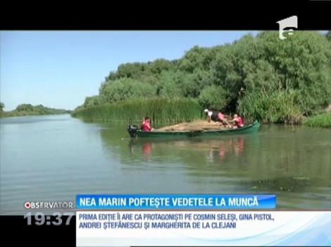 Nea Marin poftește vedetele la muncă