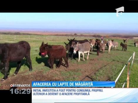 Doi bihoreni au pus pe picioare cea mai mare fermă de măgăriţe din ţară