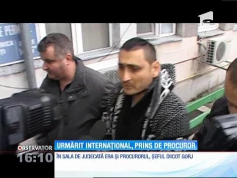 Un procuror din Târgu-Jiu a prins un individ dat în urmărire internaţională, căutat de autorităţi de 11 luni