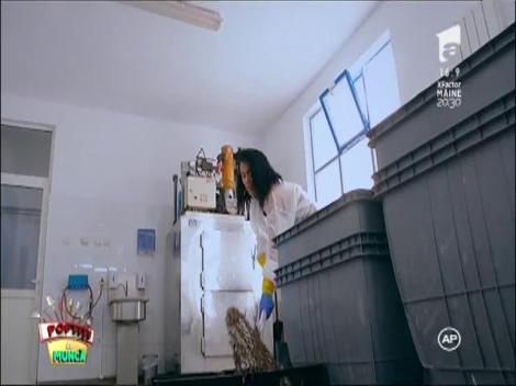 Drumul peştelui continuă! Cele două echipe ajung la cherhana: “Am zis că mor când am intrat acolo”