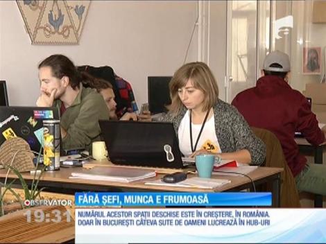 Angajaţii nu mai vor muncă la birou şi program de la nouă la cinci
