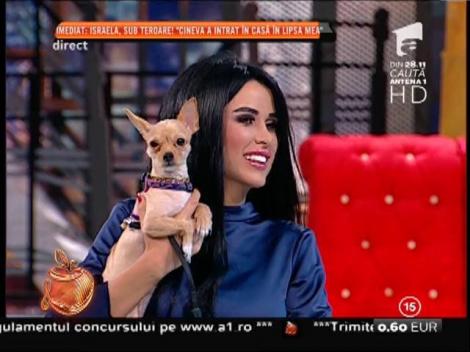 Anița, noua asisteantă de la Un show păcătos. Daniela Crudu: ”Ea este colega mea!”