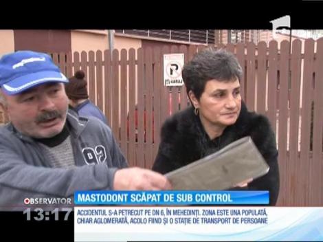 Un mastodont scăpat de sub control a făcut prăpăd, pe DN 6, în Mehedinţi