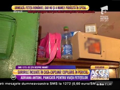 Adriana Antoni, panicată pentru viața a patru îngeri înfometați