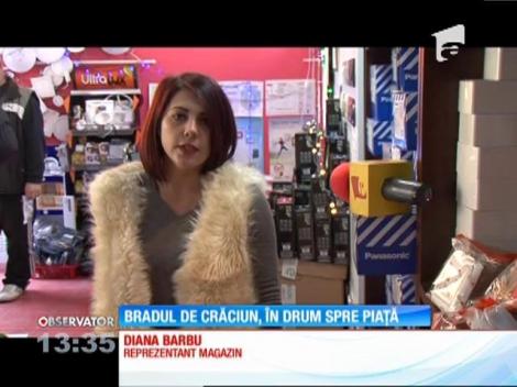 Brazii pentru Crăciun sunt mai ieftini cu 10% anul acesta