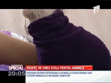 Special! Spa de lux pentru necuvântătoare