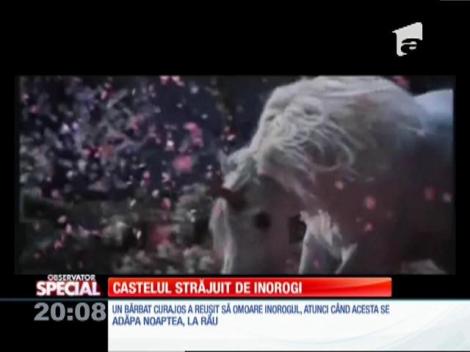 Special! Legenda castelului cu Inorogi