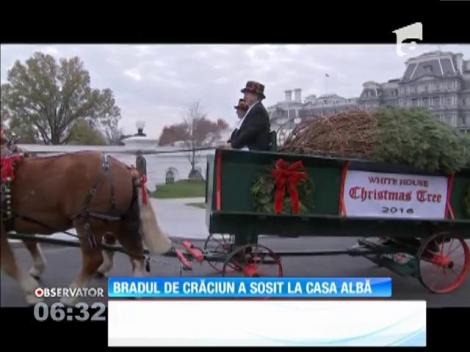 Bradul de Crăciun a sosit la Casa Albă