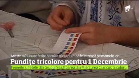 Pregătiri intense pentru 1 Decembrie