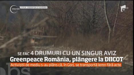 Activiştii de mediu s-au plâns că, în Gorj, se transportă lemn fără acte