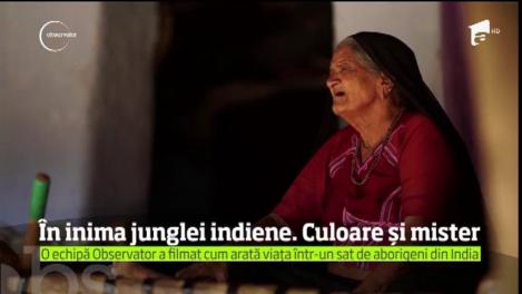 Călătorie în ţara contrastelor - India