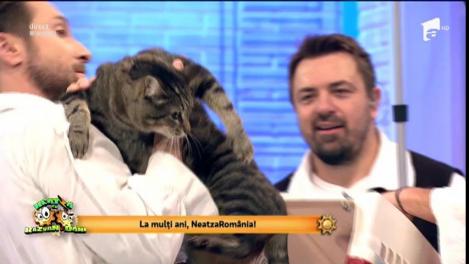 Horia Brenciu a furat cârnaţii din tindă: "Am luat pentru toată orchestra. Vom avea Revelion!"