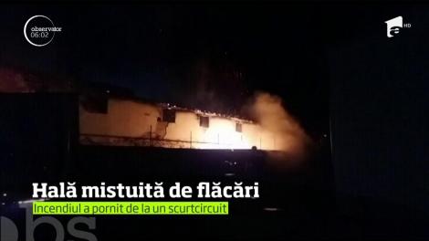 O hală din localitatea constănţeană Agigea a fost mistuită de flăcări